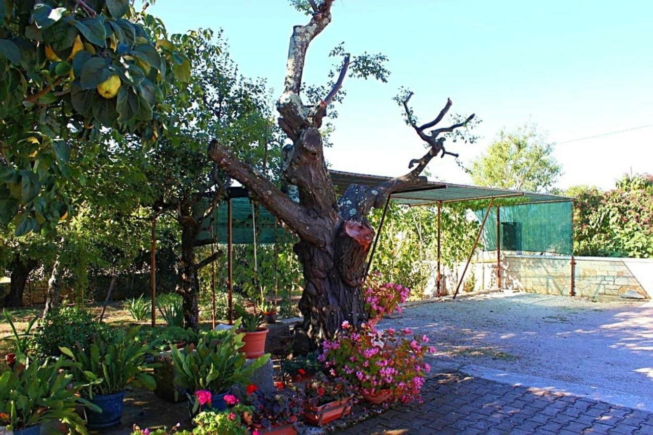 Appartement Palmira à Poreč Extérieur photo